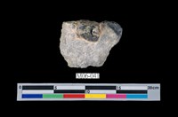 藏品(黃鐵礦)的圖片